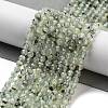 Natural Prehnite Beads Strands G-G140-A19-03-2