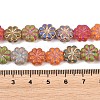 Painted Glass Beads Strands X-GLAA-F133-07B-4