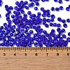 Transparent Colours Glass Seed Beads X1-SEED-P006-02A-16-4