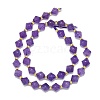 Natural Amethyst Beads Strands G-I376-B14-01-2