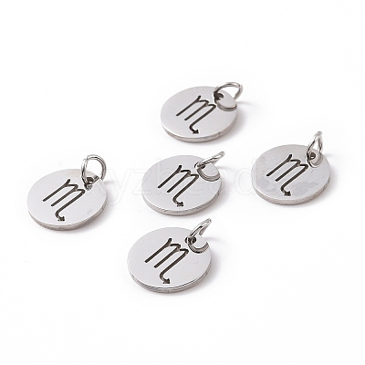 Non-Tarnish 304 Stainless Steel Charms STAS-Q201-T445-8S-1