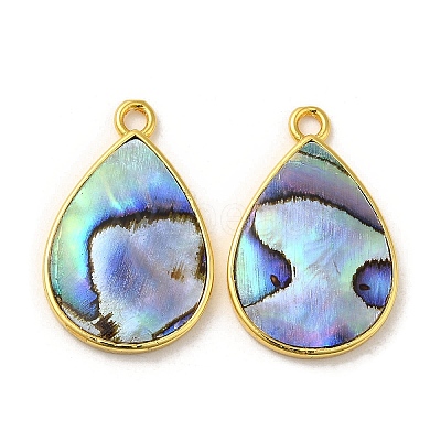 Natural Paua Shell Pendants KK-E059-08G-1