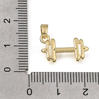Brass Pendants KK-CBAA632-10G-1