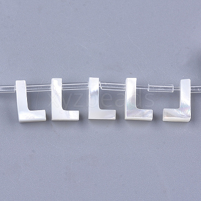 Sea Shell Beads LS-X-SHEL-T012-60L-1