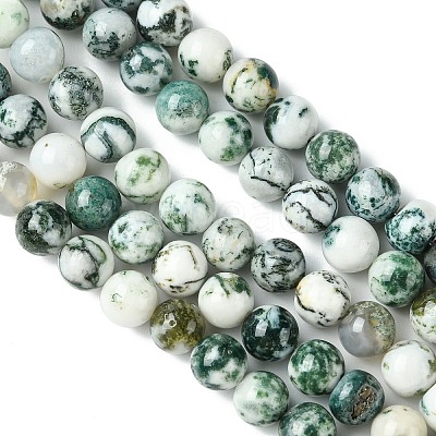 Natural Tree Agate Beads Strands X-G-K194-8mm-02-1