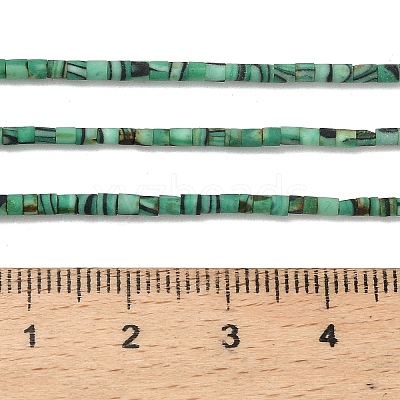 Dyed Synthetic Turquoise Beads Strands G-P594-01B-06-1