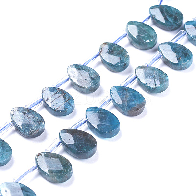 Natural Apatite Beads Strands G-G805-B02-1