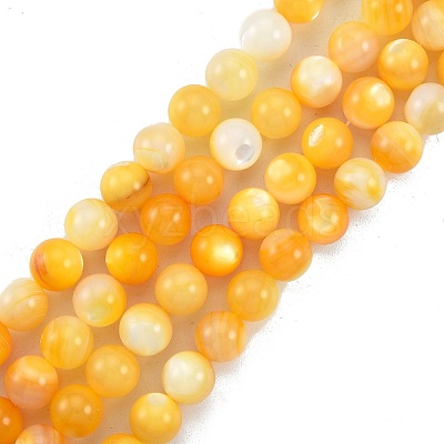 Natural Golden Yellow Shell Beads Strands SSHEL-G024-01D-1