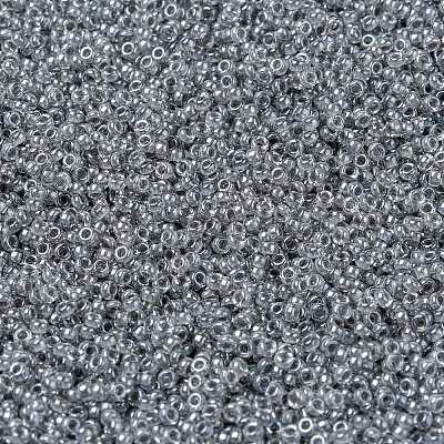 MIYUKI Round Rocailles Beads X-SEED-G009-RR0240-1