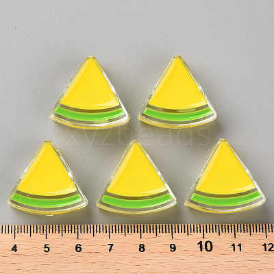 Transparent Enamel Acrylic Beads TACR-S155-001H-1