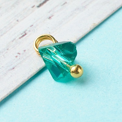 Electroplate Glass Charms PALLOY-JF00821-06-1