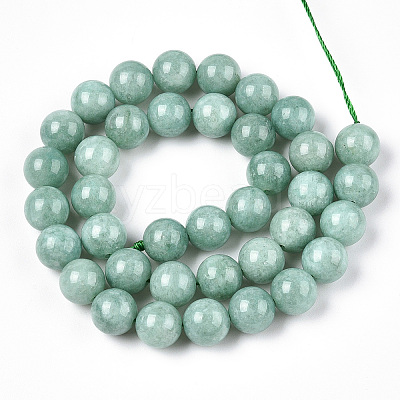 Natural Myanmar Jade/Burmese Jade Beads Strands G-T064-22-10mm-1