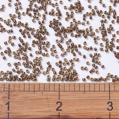 MIYUKI Delica Beads X-SEED-J020-DB0287-1