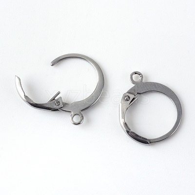 Tarnish Resistant 201 Stainless Steel Leverback Earring Findings LS-STAS-R065-71-1