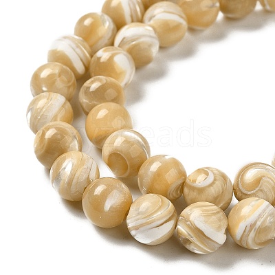 Natural Trochus Shell Beads Strands SHEL-K006-18D-1