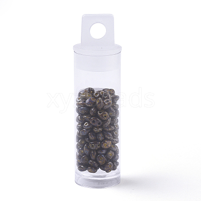 2-Hole Seed Beads SEED-R048-83120-1