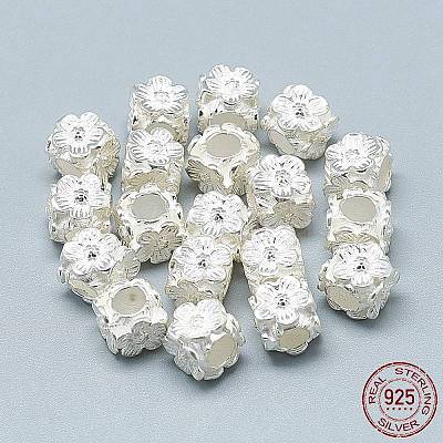 925 Sterling Silver European Beads STER-T002-43S-1