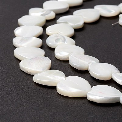 Natural Trochid Shell/Trochus Shell Beads SSHEL-O001-27D-1