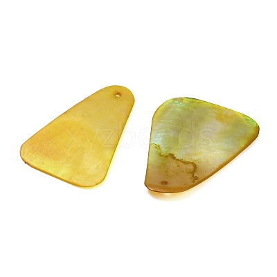 Dyed Natural Shell Pendants SHEL-C010-13D-1