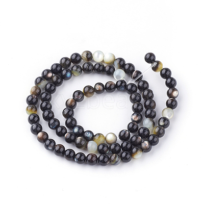 Natural Black Lip Shell Bead Strands X-SSHEL-Q298-02-1
