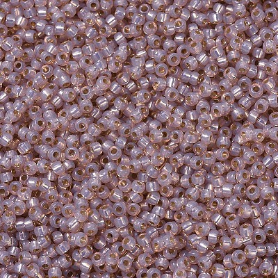 MIYUKI Round Rocailles Beads X-SEED-G007-RR0579-1