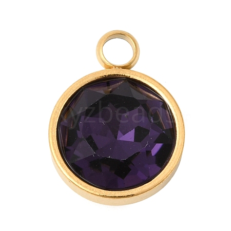 Birthstone Theme February 304 Stainless Steel Pendants STAS-K239-01G-A02-1