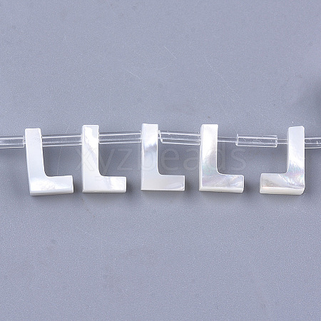 Sea Shell Beads LS-X-SHEL-T012-60L-1