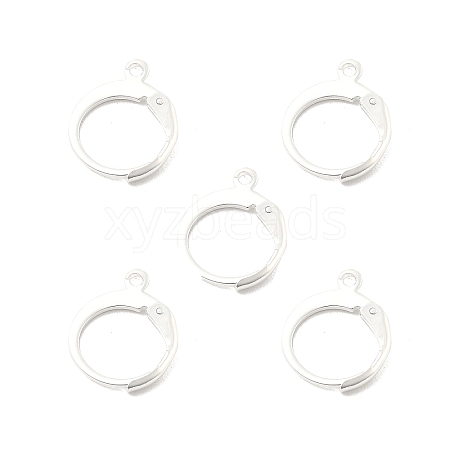 304 Stainless Steel Leverback Earring Findings STAS-D448-041S-1