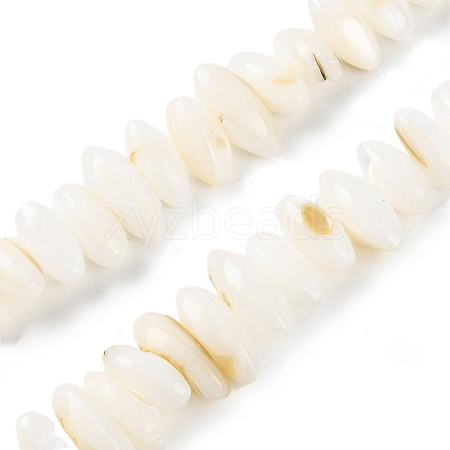 Natural Anomaly Freshwater Shell Beads Strands BSHE-S304-05C-1