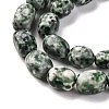 Natural Green Spot Jasper Beads Strands G-G146-A26-01-4