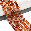 Natural Carnelian Beads Strands G-P497-01C-35-2