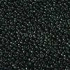 MIYUKI Round Rocailles Beads SEED-X0055-RR0156-2