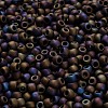 TOHO 6/0 Round Beads SEED-XTR06-0615-4