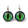 Dragon Eye Glass Leverback Earrings with Brass Earring Pins EJEW-Q798-01R-1