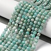 Natural Amazonite Beads Strands G-G140-A18-03-A-2