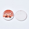 Transparent 3D Printed Acrylic Pendants KY-S163-336-3