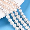 Natural Cultured Freshwater Pearl Beads Strands PEAR-N013-06-A-1