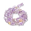 Natural Ametrine Beads Strands G-I351-A11-3