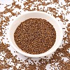 MIYUKI Delica Beads X-SEED-J020-DB0505-2