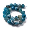 Natural Dragon Veins Agate(Dyed & Heated) Beads Strands G-K390-A15-01-4