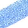 Transparent Glass Beads Strands GLAA-R200-C06-1