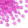 Transparent Acrylic Beads LS-X-PL554-17-1