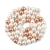 Shell Pearl Beads Strands BSHE-XCP0001-19-2