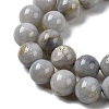 Natural Gemstone Beads Strands G-L641-A01-03-4