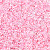 12/0 Glass Seed Beads SDB210-1