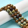 Natural Yellow Chrysocolla Beads Strands G-H298-A07-03-2