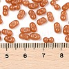 Baking Paint Glass Seed Beads SEED-L011-09A-25-4