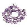 Natural Amethyst Beads Strands G-L649-D05-01-3