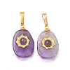 Natural Amethyst Pendants G-T151-03A-1