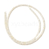 Natural White Shell Beads Strands SHEL-M021-03B-2